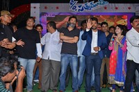 Son of Satyamurthy Success Meet Photos at Vizag